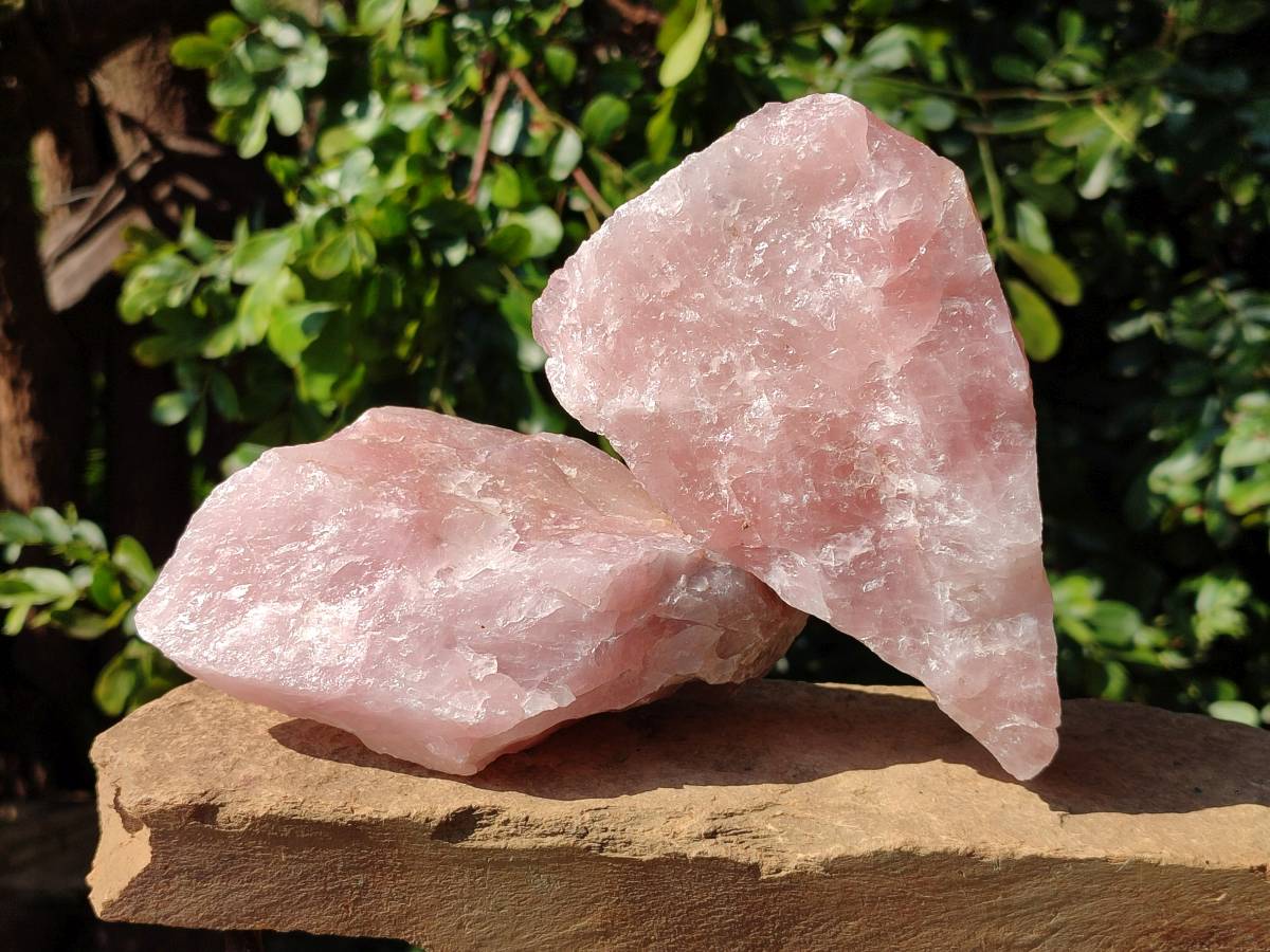 Natural Cobbed Rose Quartz Specimens x 5 From Northern Cape, South Africa