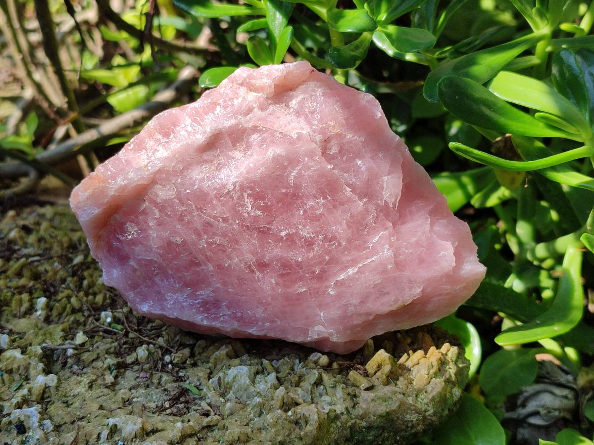 Natural Cobbed Rose Quartz Specimens x 5 From Northern Cape, South Africa
