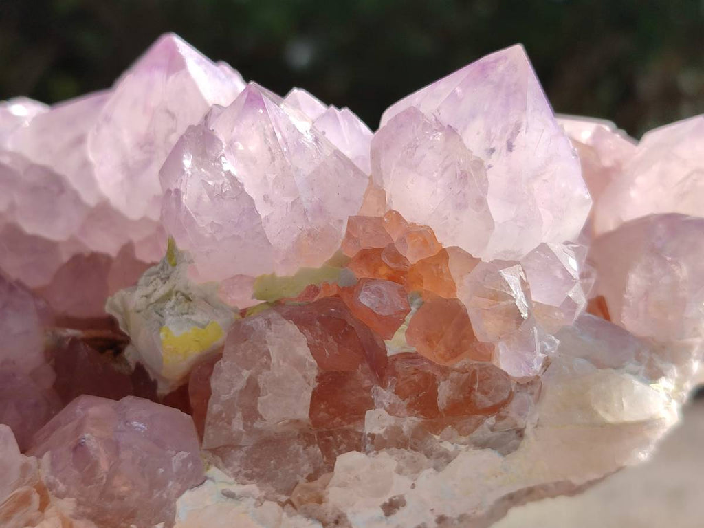 Natural Sunburst Amethyst Crystal Clusters x 2 From Boekenhouthoek, South Africa