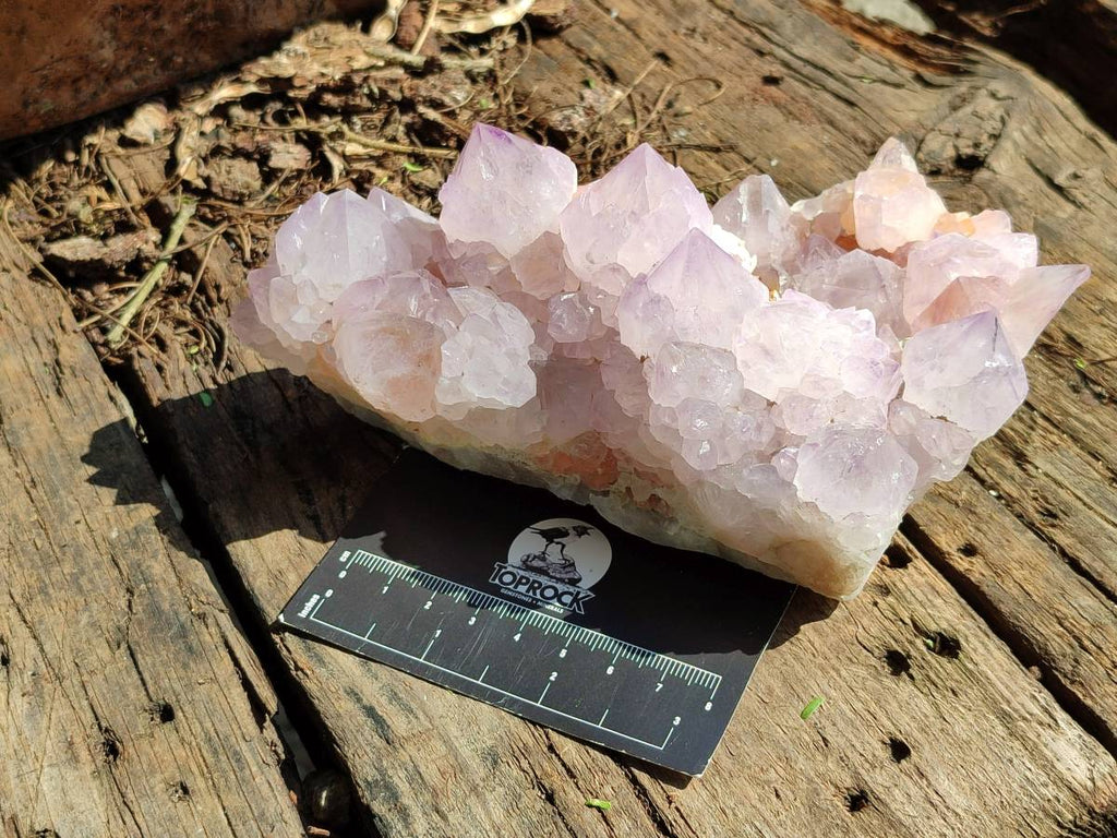 Natural Sunburst Amethyst Crystal Clusters x 2 From Boekenhouthoek, South Africa