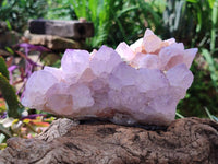 Natural Sunburst Amethyst Crystal Clusters x 2 From Boekenhouthoek, South Africa