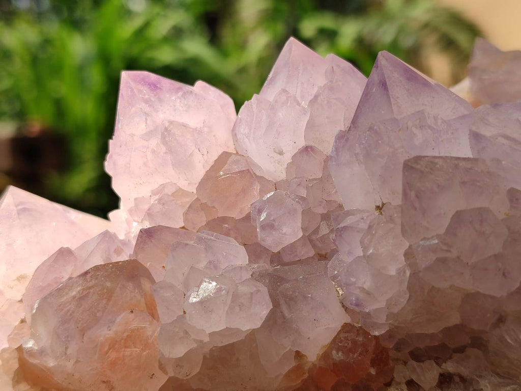 Natural Sunburst Amethyst Crystal Clusters x 2 From Boekenhouthoek, South Africa