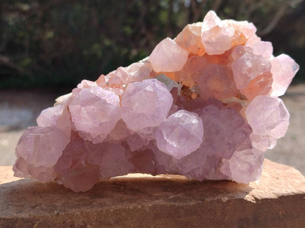 Natural Sunburst Amethyst Crystal Clusters x 2 From Boekenhouthoek, South Africa