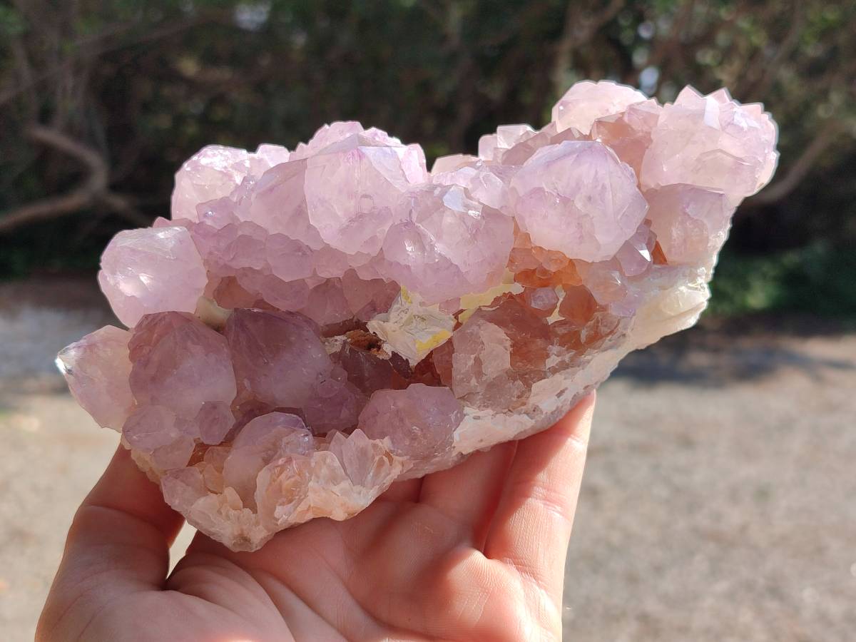 Natural Sunburst Amethyst Crystal Clusters x 2 From Boekenhouthoek, South Africa