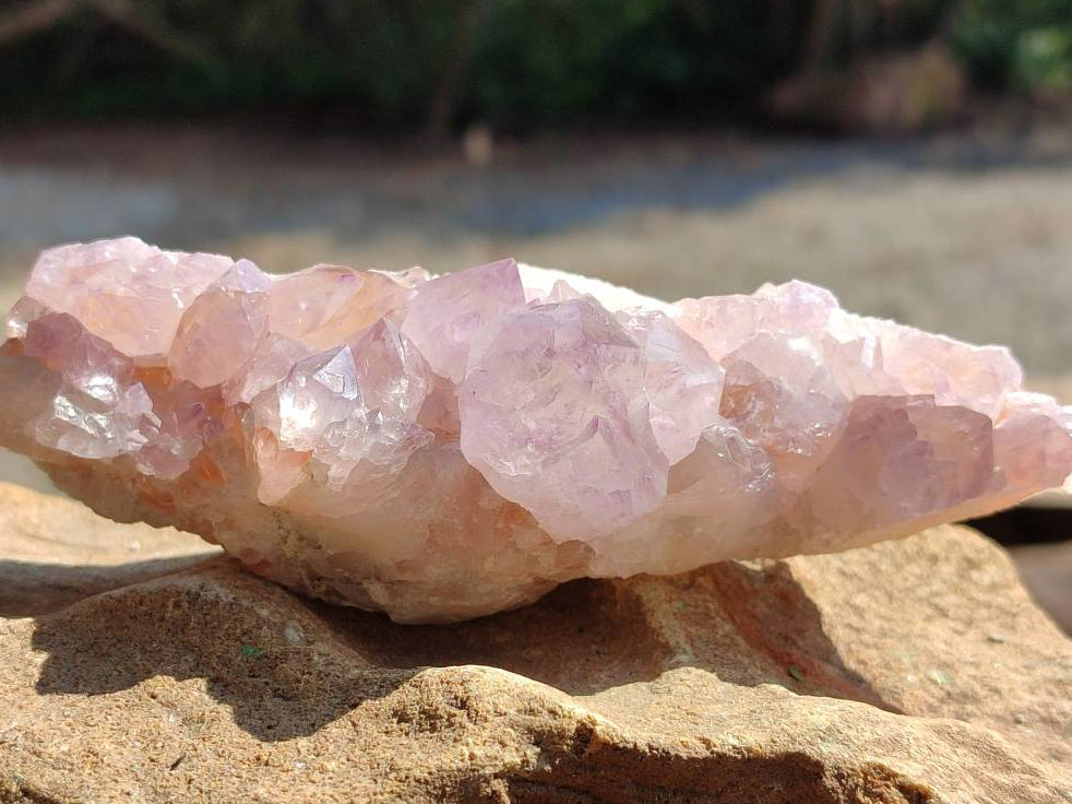 Natural Sunburst Amethyst Crystal Clusters x 2 From Boekenhouthoek, South Africa