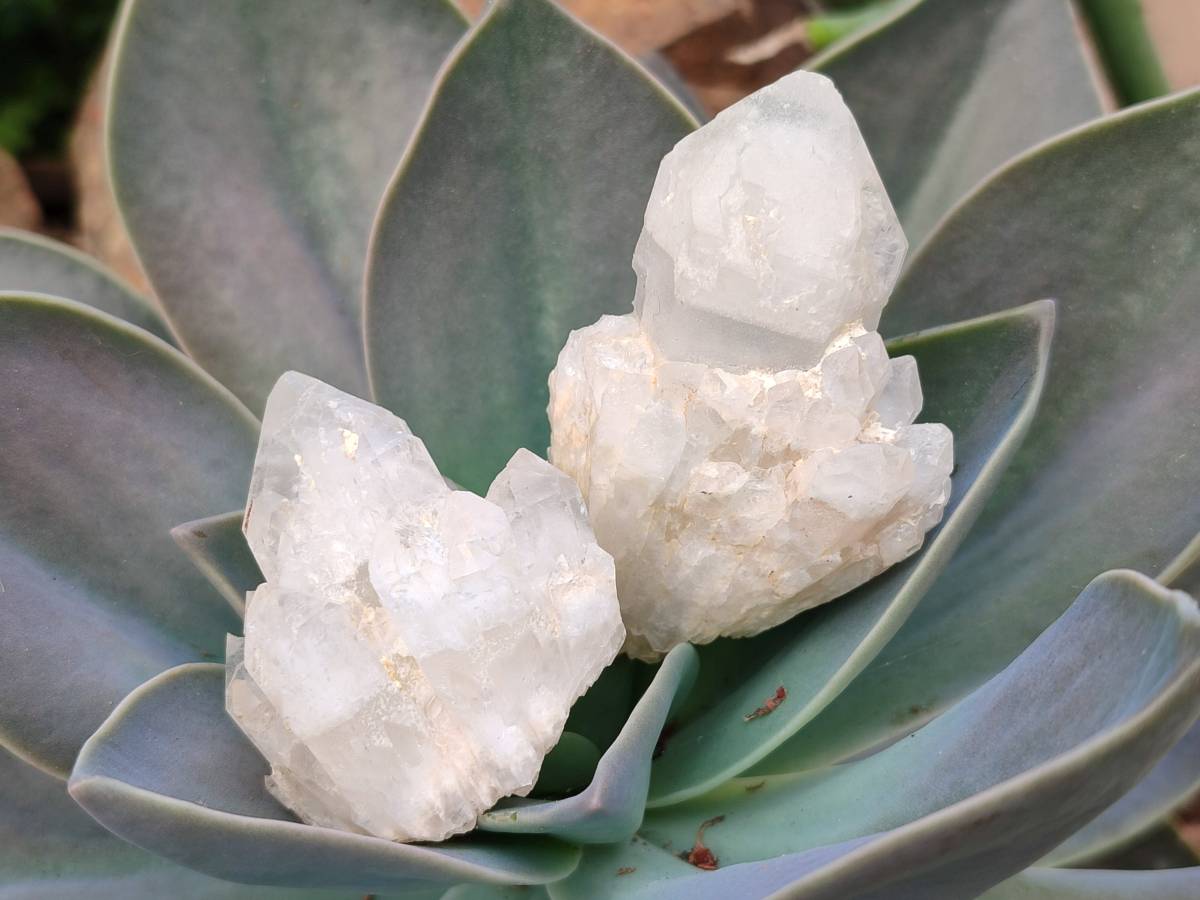 Natural White Phantom Cascading Candle Quartz Clusters x 35 From Antsirabe, Madagascar