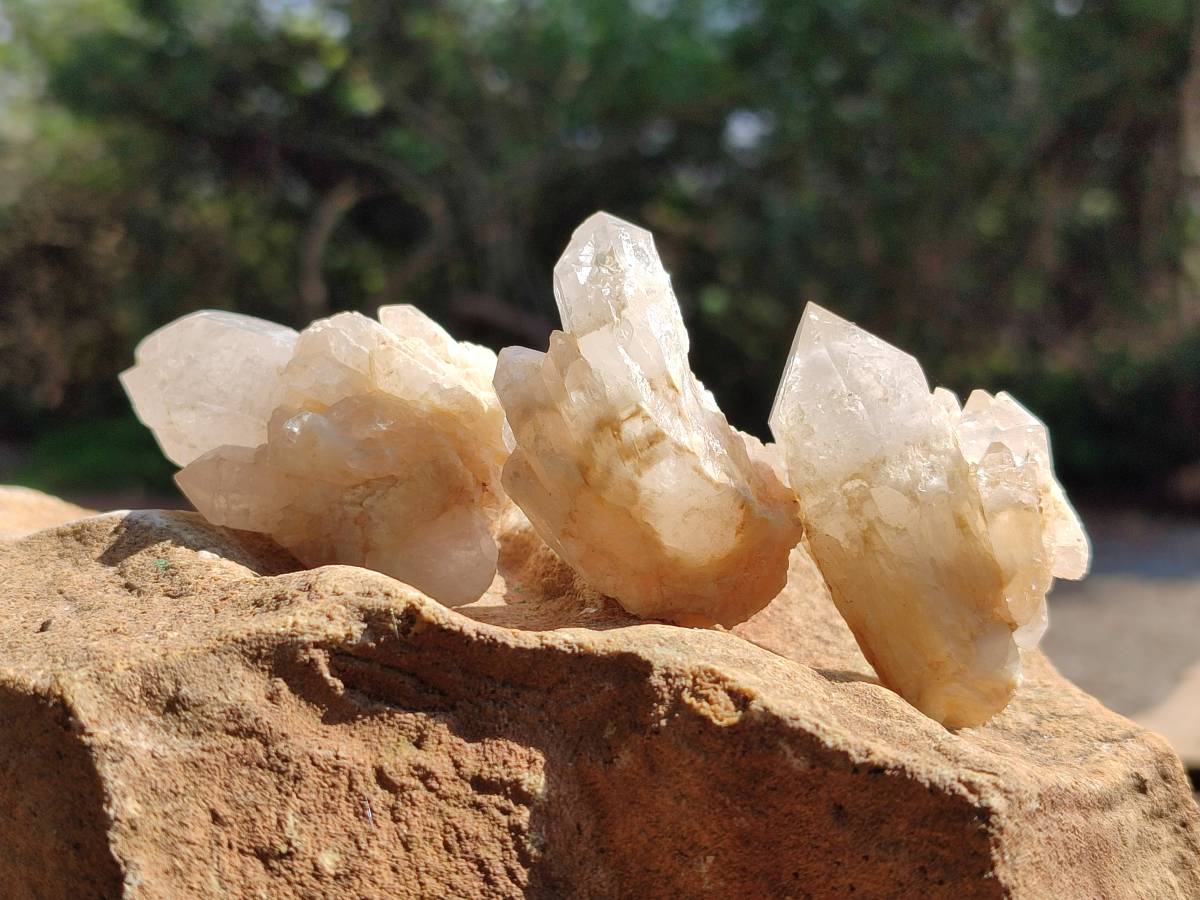 Natural White Phantom Cascading Candle Quartz Clusters x 35 From Antsirabe, Madagascar