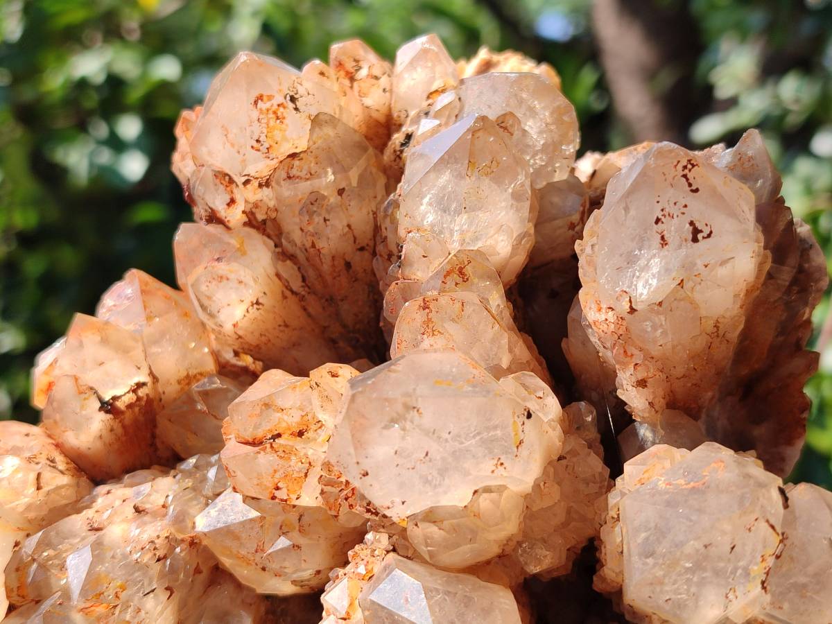 Natural XL Smokey Citrine White Phantom Quartz Cluster x 1 From Luena, Congo