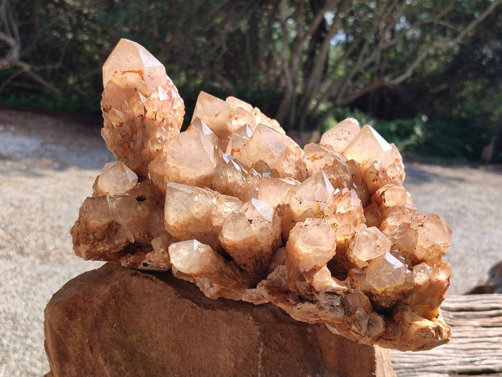 Natural XL Smokey Citrine White Phantom Quartz Cluster x 1 From Luena, Congo
