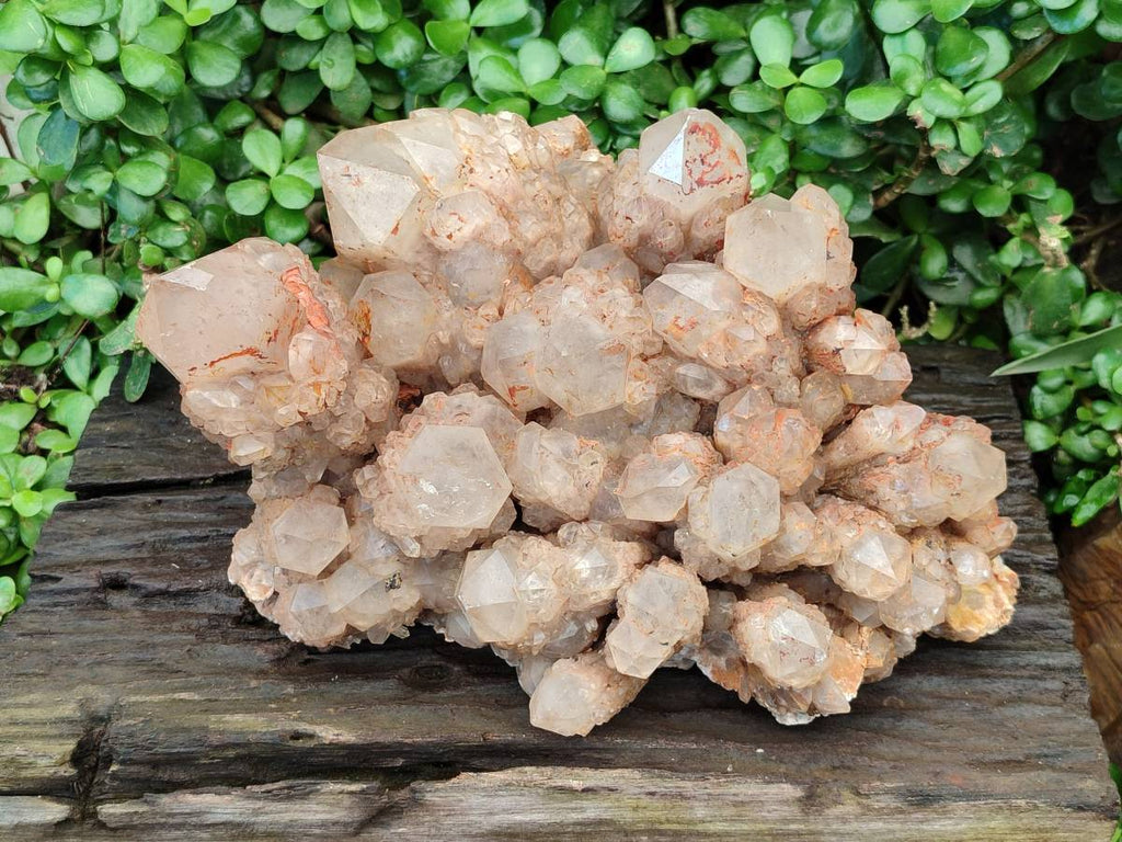 Natural XL Smokey Citrine White Phantom Quartz Cluster x 1 From Luena, Congo