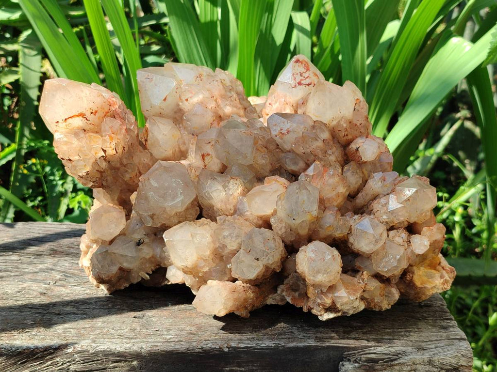 Natural XL Smokey Citrine White Phantom Quartz Cluster x 1 From Luena, Congo
