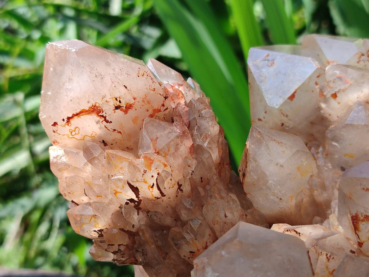 Natural XL Smokey Citrine White Phantom Quartz Cluster x 1 From Luena, Congo