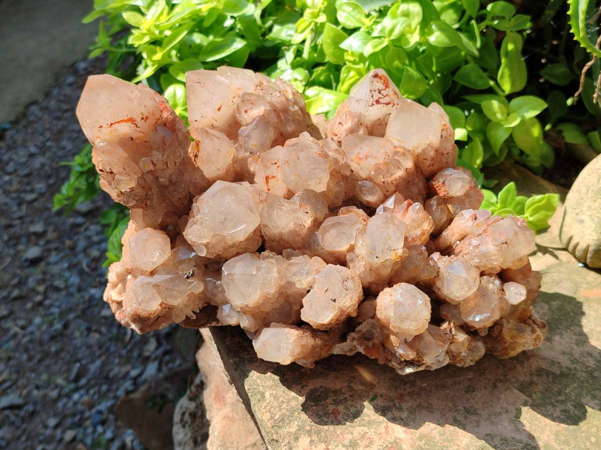 Natural XL Smokey Citrine White Phantom Quartz Cluster x 1 From Luena, Congo