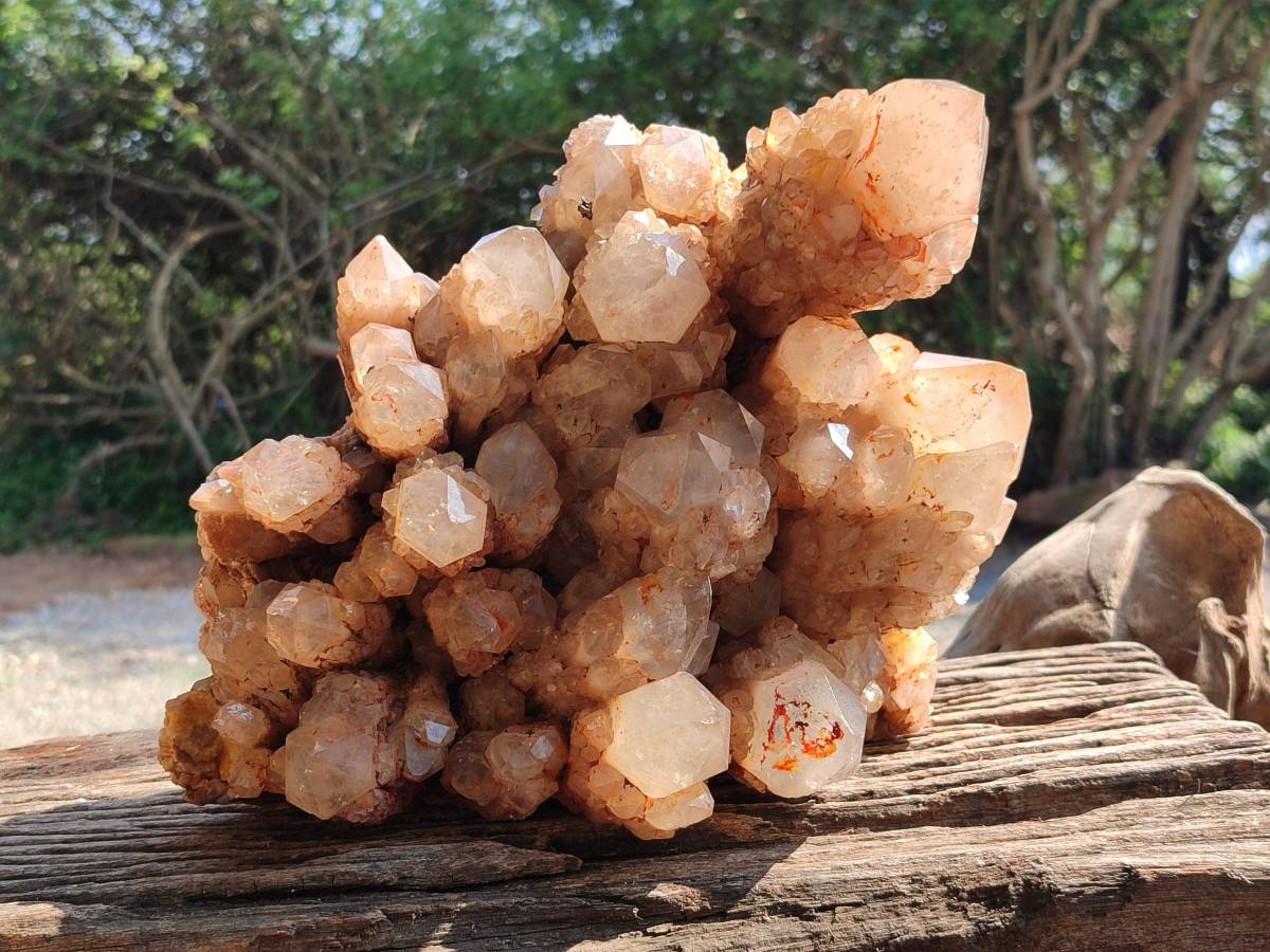 Natural XL Smokey Citrine White Phantom Quartz Cluster x 1 From Luena, Congo