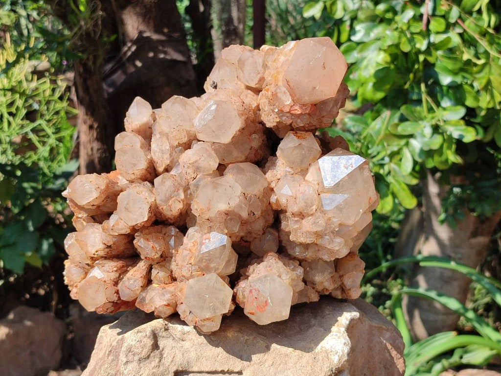 Natural XL Smokey Citrine White Phantom Quartz Cluster x 1 From Luena, Congo