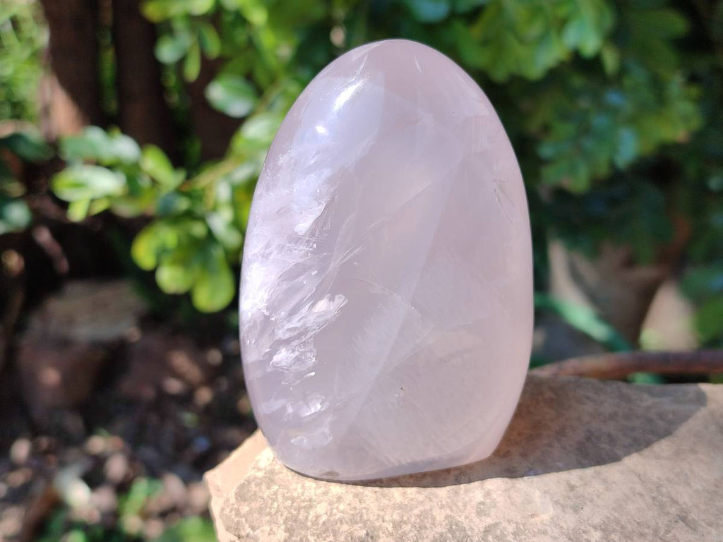 Polished Rose Quartz Standing Free Forms x 4 From Madagascar