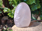 Polished Rose Quartz Standing Free Forms x 4 From Madagascar