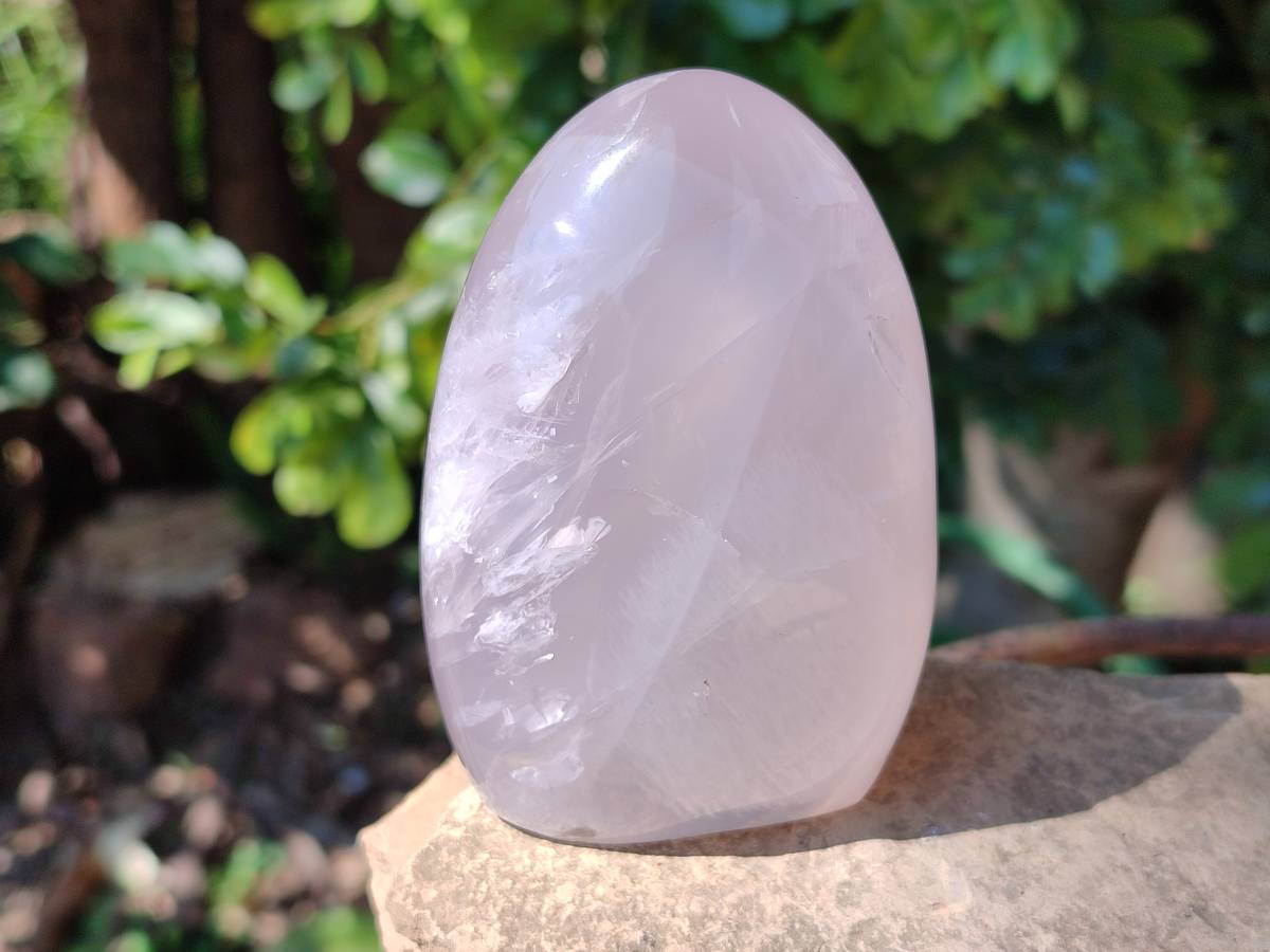 Polished Rose Quartz Standing Free Forms x 4 From Madagascar