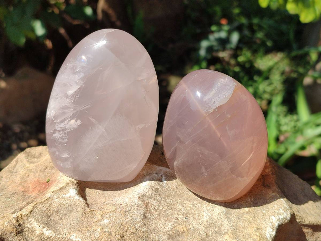 Polished Rose Quartz Standing Free Forms x 4 From Madagascar