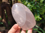 Polished Rose Quartz Standing Free Forms x 4 From Madagascar