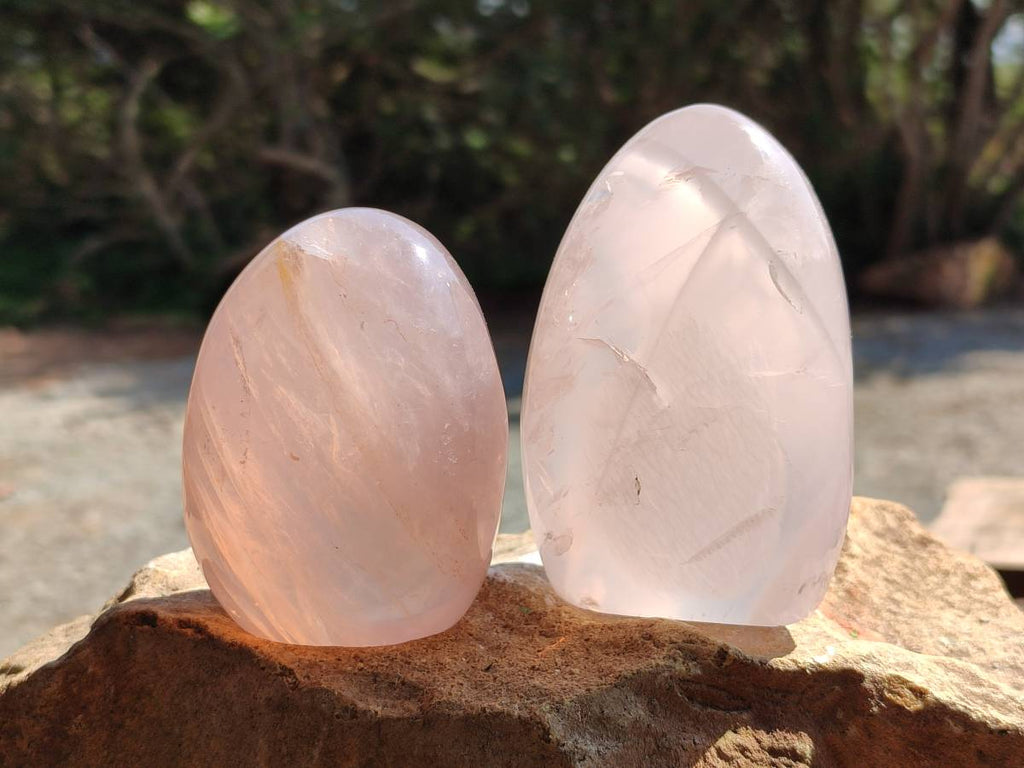 Polished Rose Quartz Standing Free Forms x 4 From Madagascar