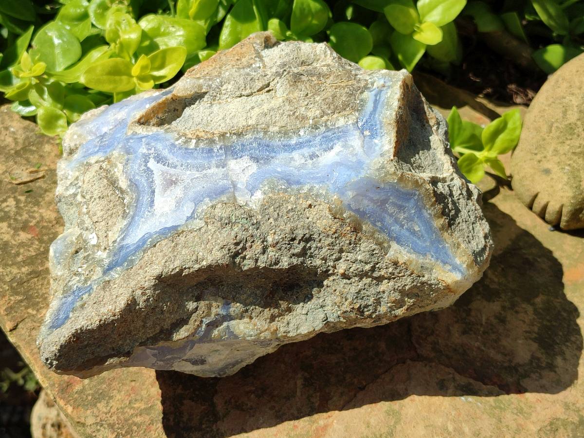 Natural XL Blue Lace Agate Geode Specimen x 1 From Nsanje, Malawi