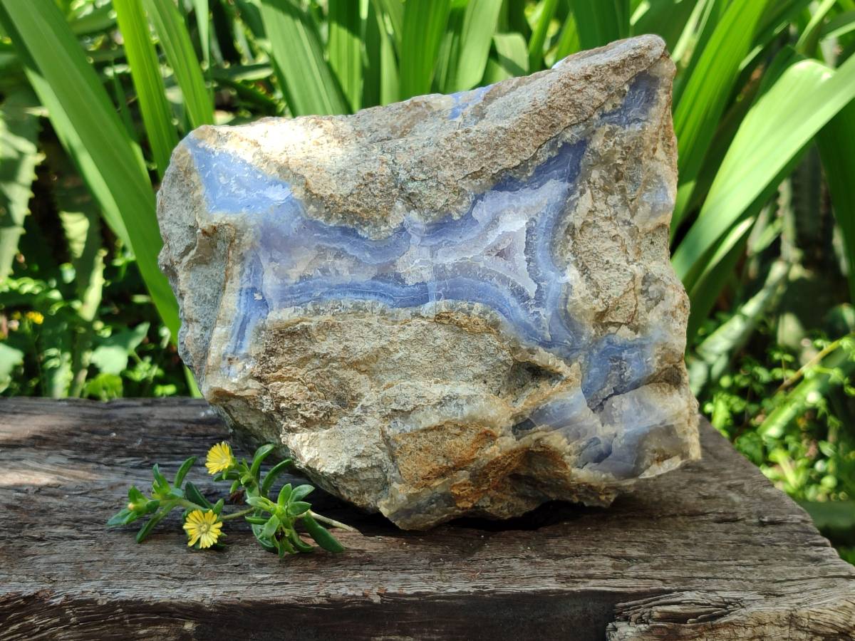 Natural XL Blue Lace Agate Geode Specimen x 1 From Nsanje, Malawi