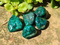 Polished Dioptase Free Forms x 20 From Likasi, Congo