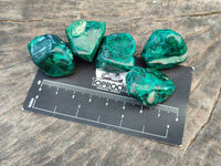 Polished Dioptase Free Forms x 20 From Likasi, Congo