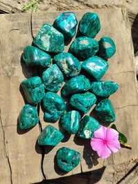 Polished Dioptase Free Forms x 20 From Likasi, Congo