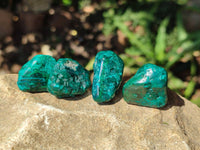 Polished Dioptase Free Forms x 20 From Likasi, Congo