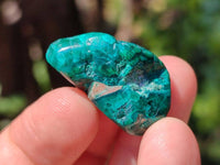 Polished Dioptase Free Forms x 20 From Likasi, Congo