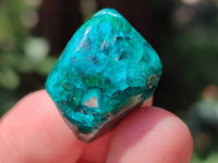 Polished Dioptase Free Forms x 20 From Likasi, Congo
