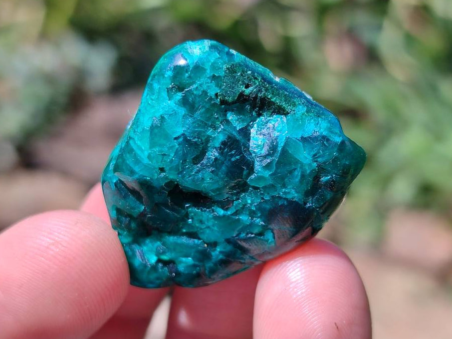Polished Dioptase Free Forms x 20 From Likasi, Congo