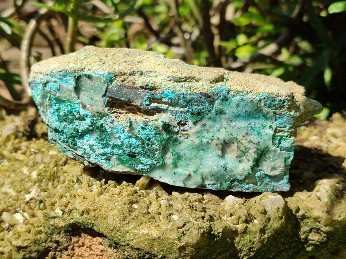 Natural Drusy Coated Chrysocolla With Malachite Specimens x 3 From Lupoto Mine, Congo