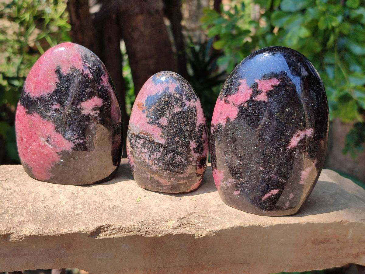Polished Rhodonite Standing Free Form x 3 From Ambindavato, Madagascar