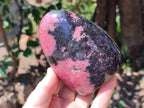 Polished Rhodonite Standing Free Form x 3 From Ambindavato, Madagascar