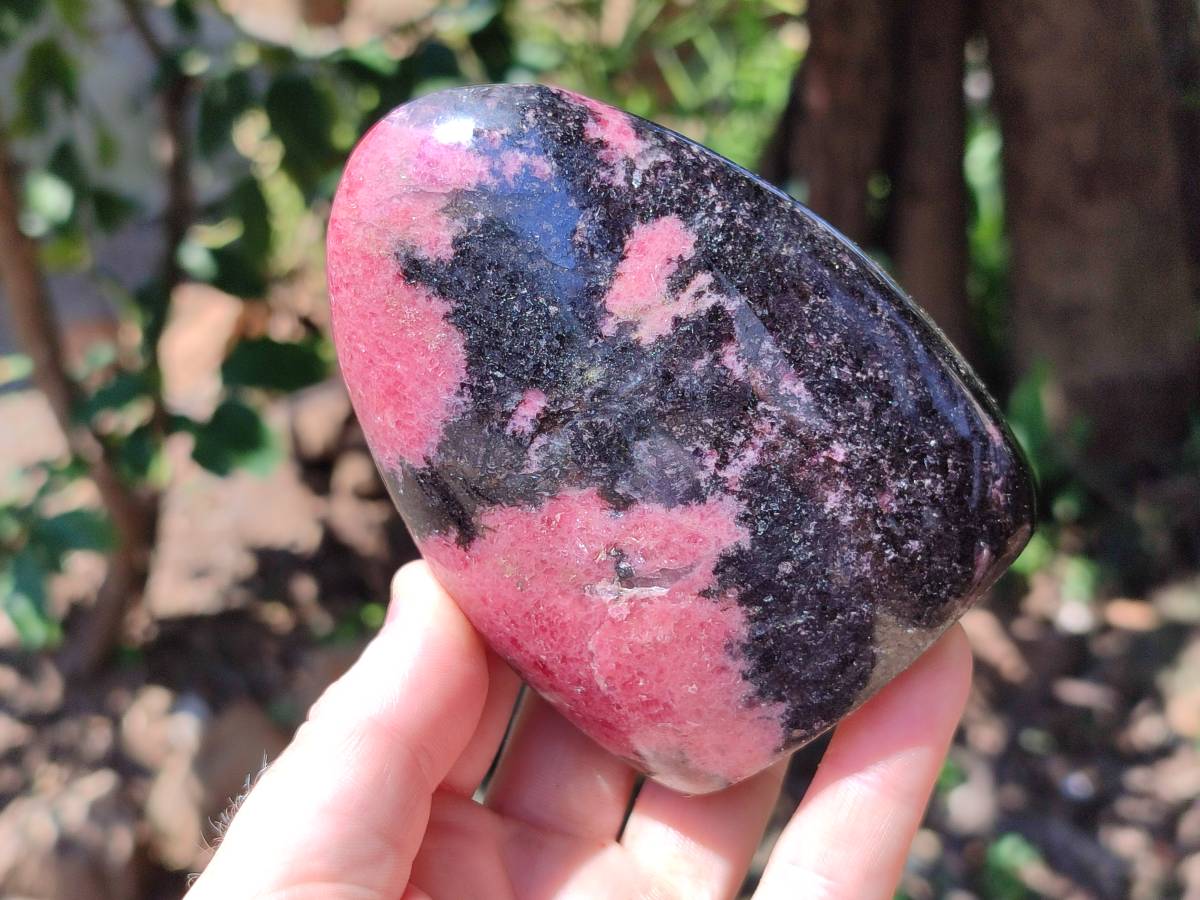 Polished Rhodonite Standing Free Form x 3 From Ambindavato, Madagascar