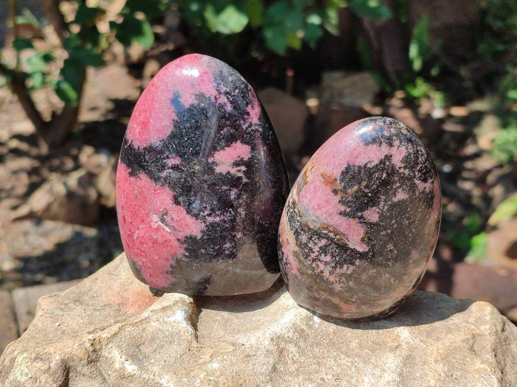 Polished Rhodonite Standing Free Form x 3 From Ambindavato, Madagascar