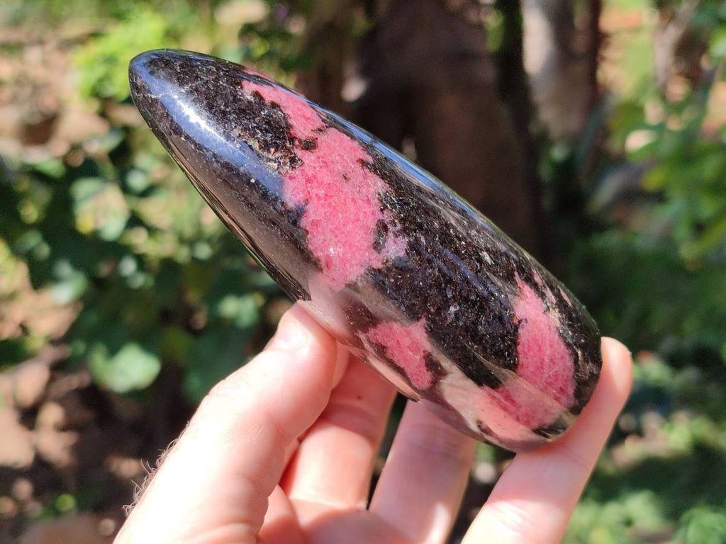 Polished Rhodonite Standing Free Form x 3 From Ambindavato, Madagascar