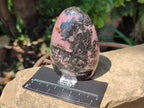Polished Rhodonite Standing Free Form x 3 From Ambindavato, Madagascar