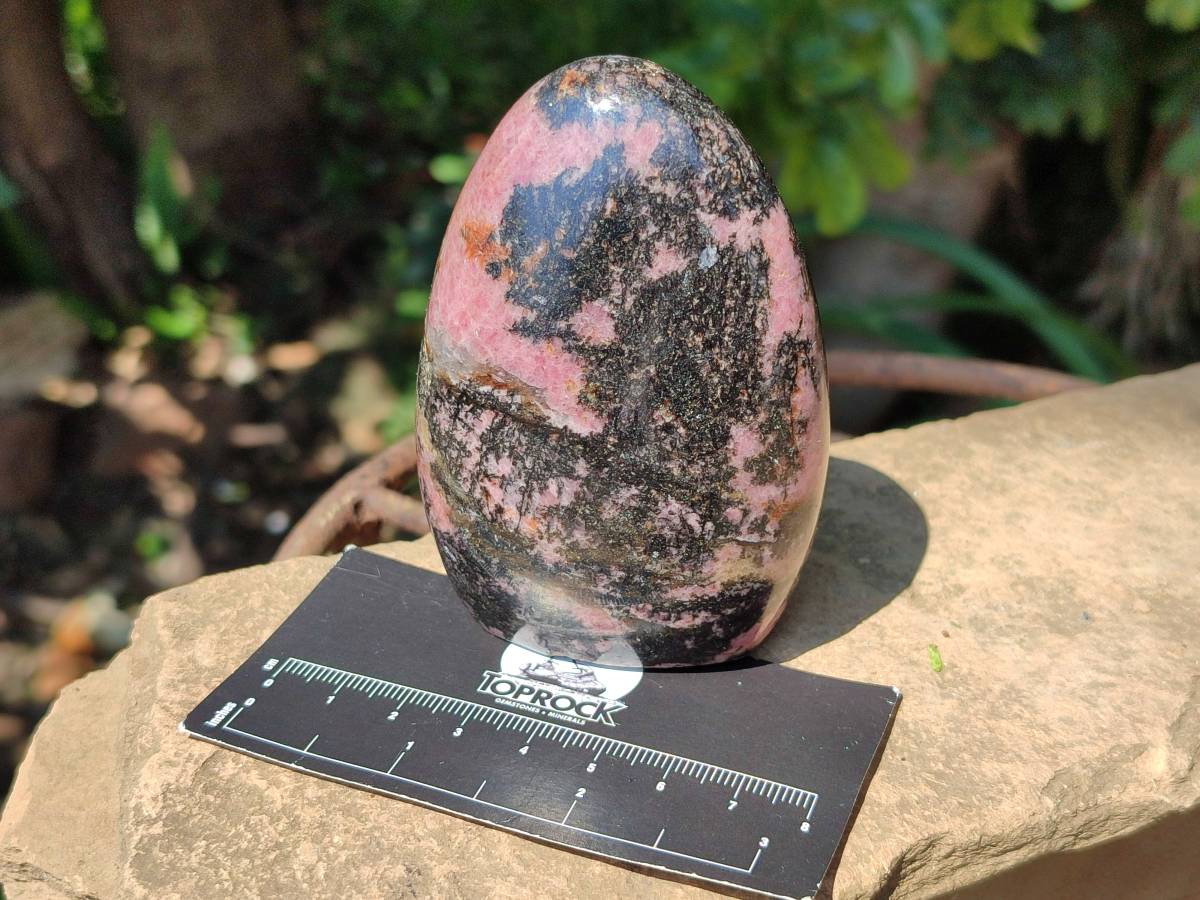 Polished Rhodonite Standing Free Form x 3 From Ambindavato, Madagascar