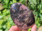 Polished Rhodonite Standing Free Form x 3 From Ambindavato, Madagascar