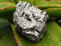 Natural Fragile Lead Galena Cobbed Specimens x 6 From Kaokoveld, Namibia