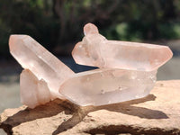 Natural Double Terminated Red Hematoid Quartz Crystals x 35 From Madagascar
