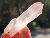 Natural Double Terminated Red Hematoid Quartz Crystals x 35 From Madagascar