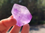 Polished Window Amethyst Crystals x 12 From Akansobe, Madagascar