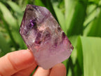 Polished Window Amethyst Crystals x 12 From Akansobe, Madagascar