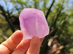 Polished Window Amethyst Crystals x 12 From Akansobe, Madagascar