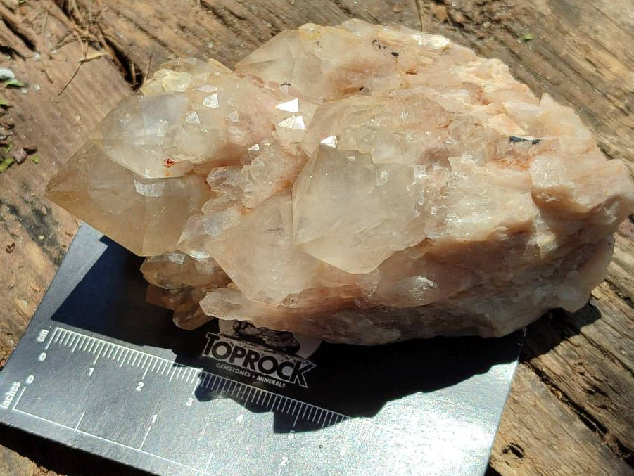 Natural Smokey Phantom Quartz Clusters x 6 From Luena, Congo